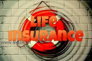 登陆不了LINE?这些解决方法让你轻松恢复连接!-LINE中文版官网