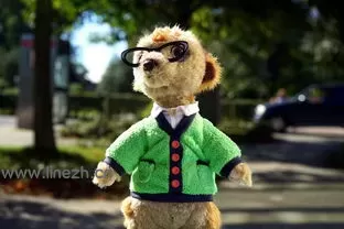 LINE宠物社区，晒出毛孩子的可爱日常，line动物 ~ LINE中文版官网-LINE中文版官网