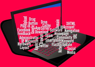 Line可以用中国号码注册吗？探索你的社交新选择-LINE中文版官网